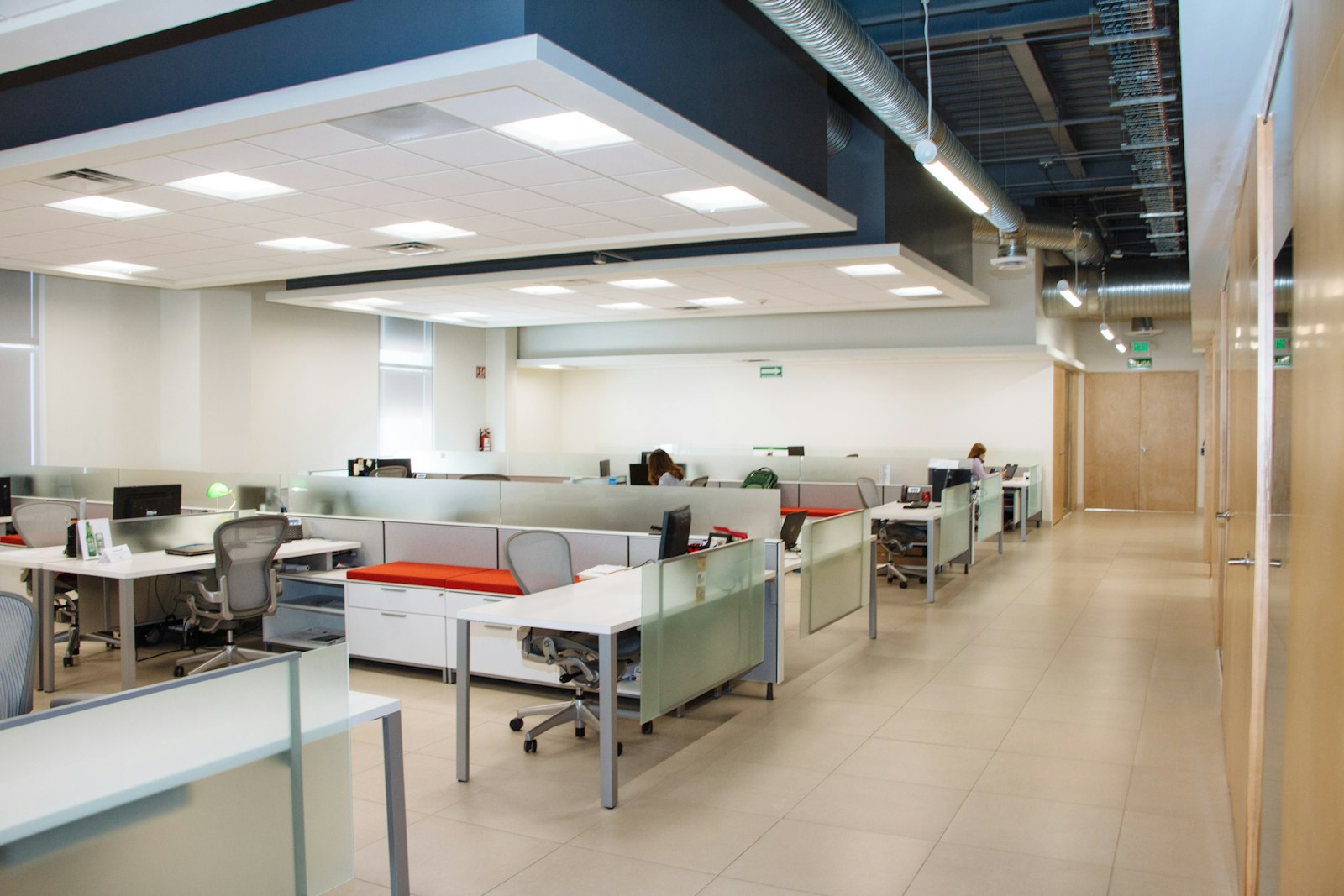 Universidad Católica de Valencia, sede Trinitarios — Vista del techo de madera