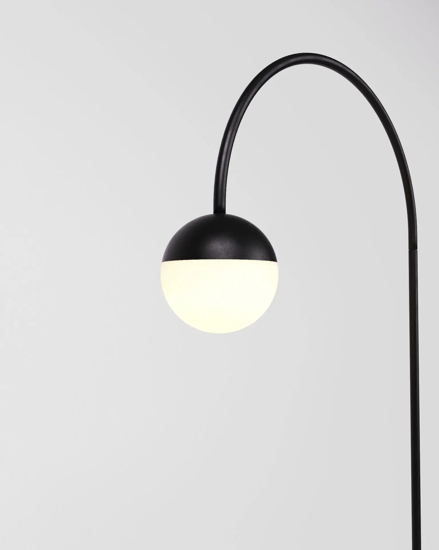 bold-1 Cercana ON v2.1.webp